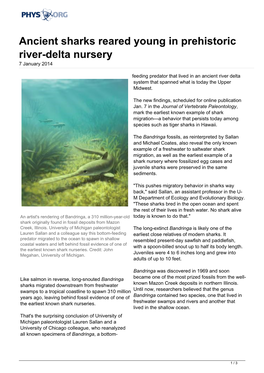 Ancient Sharks Reared Young in Prehistoric River-Delta Nursery 7 January 2014