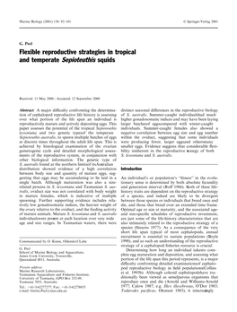 Flexible Reproductive Strategies in Tropical and Temperate Sepioteuthis Squids