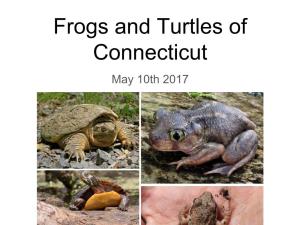 Frogs and Turtles of Connecticut May 10Th 2017 Announcements!
