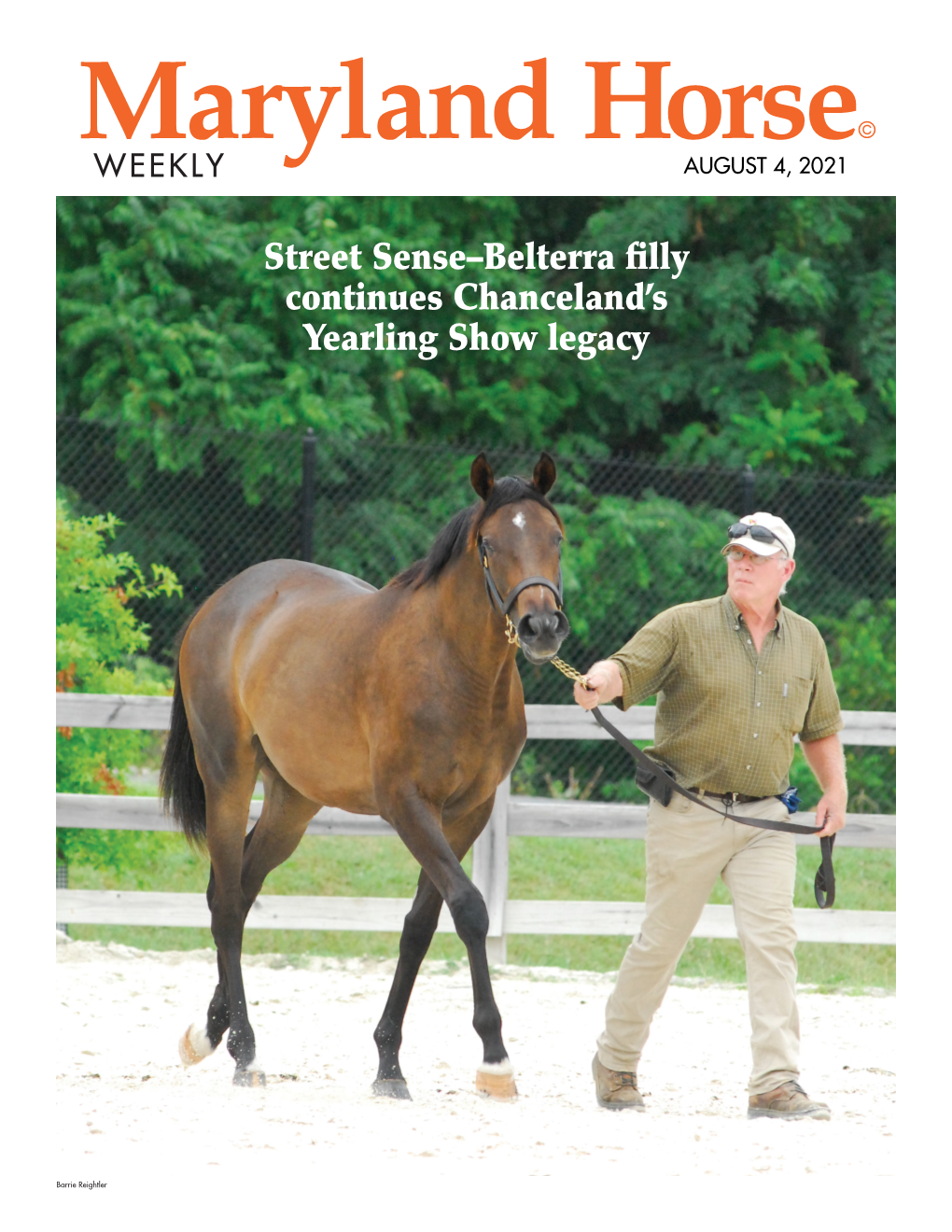 Street Sense–Belterra Filly Continues Chanceland's Yearling Show Legacy