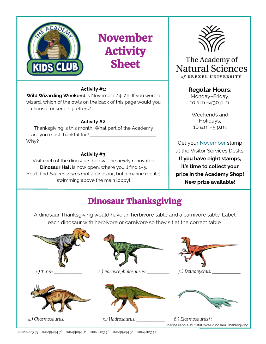 November Activity Sheet