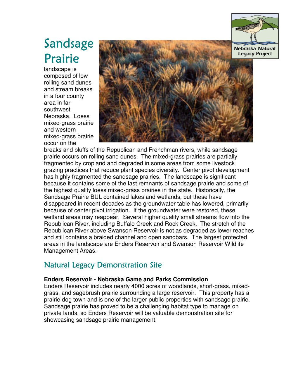 Sandsage Sandsage Prairie