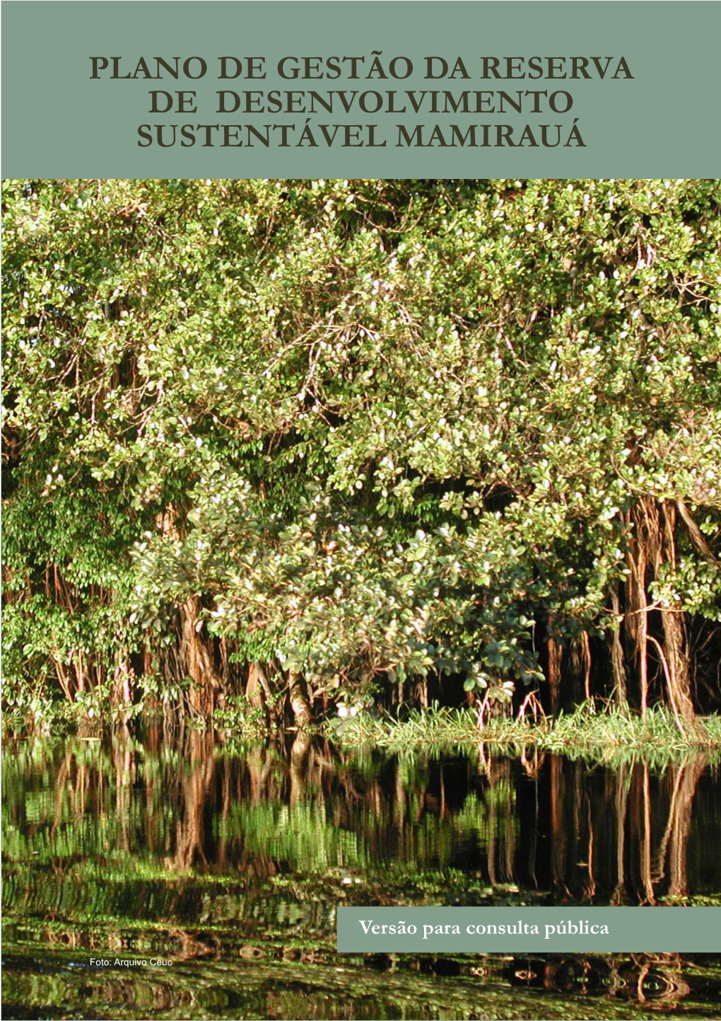 Plano De Gestão Da Reserva De Desenvolvimento Sustentável Mamirauá