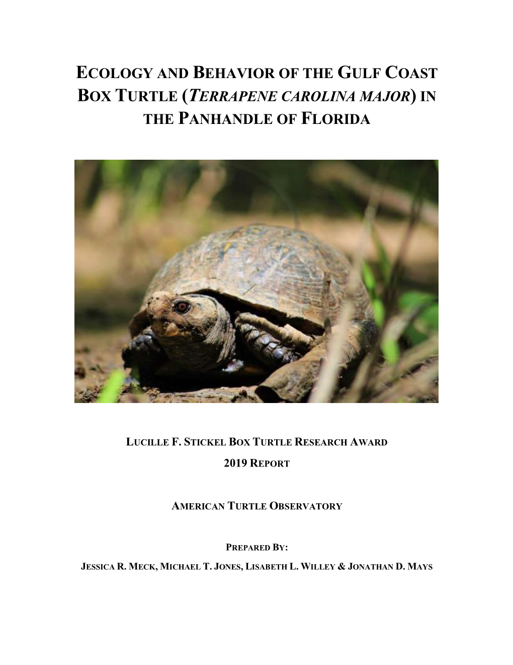 Ecology and Behavior of the Gulf Coast Box Turtle (Terrapene Carolina Major) in the Panhandle of Florida