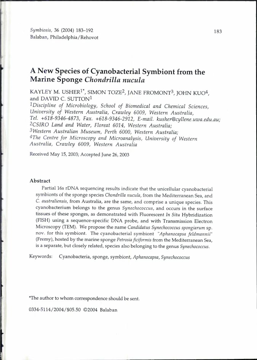 A New Species of Cyanobacterial Symbiont from the Marine Sponge Chondrilla Nucula