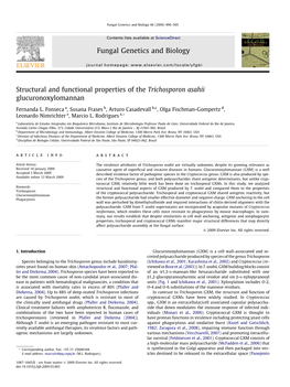 Structural and Functional Properties of the Trichosporon Asahii Glucuronoxylomannan