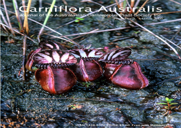 Carniflora Australis Journal of the Australasian Carnivorous Plant Society Inc