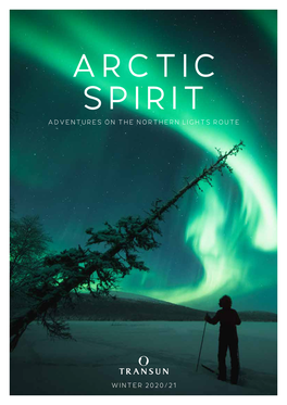 Arctic Spirit Adventures on the Northern Lights Route