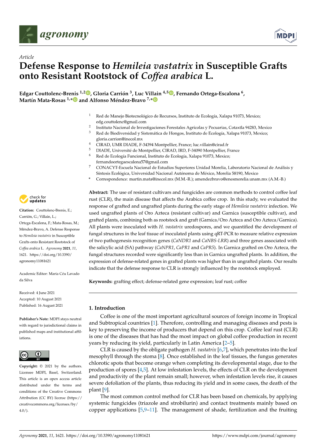 Defense Response to Hemileia Vastatrix in Susceptible Grafts Onto Resistant Rootstock of Coffea Arabica L