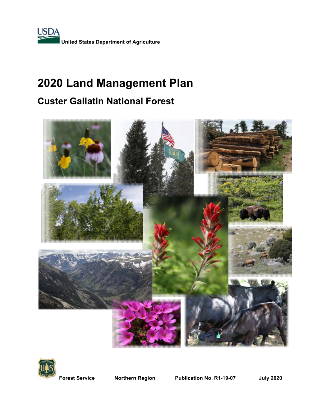 2020 Land Management Plan for the Custer Gallatin National Forest