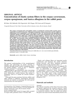 Concentration of Elastic System Fibers in the Corpus Cavernosum, Corpus Spongiosum, and Tunica Albuginea in the Rabbit Penis