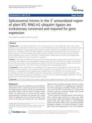 Spliceosomal Introns in the 5′ Untranslated Region of Plant BTL