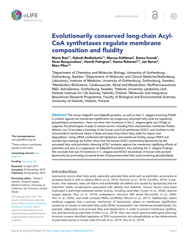 Evolutionarily Conserved Long-Chain Acyl- Coa Synthetases Regulate Membrane Composition and Fluidity