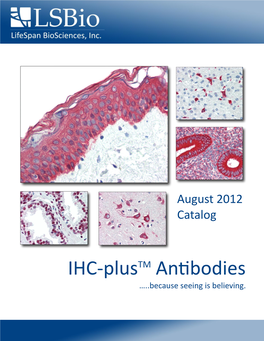 IHC Plus Antibodies.Xlsx
