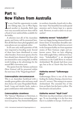 New Fishes from Australia