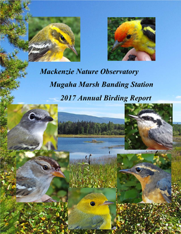 Mackenzie Nature Observatory Mugaha Marsh Banding Station