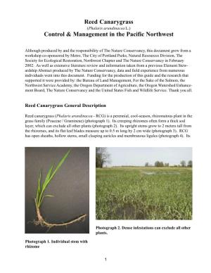 Reed Canarygrass Control & Management in the Pacific Northwest