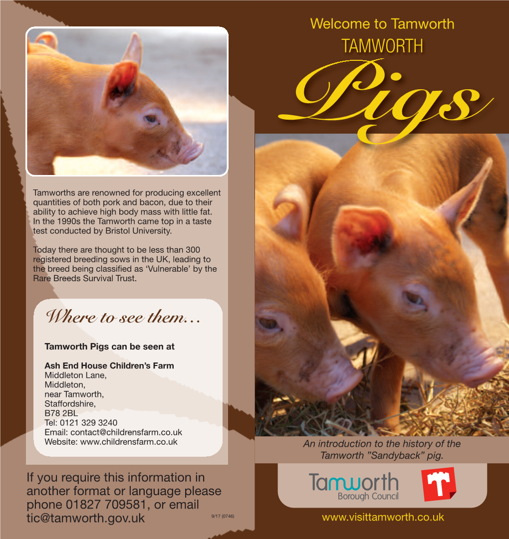 Tamworth Pigs Leaflet