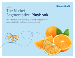 The Market Segmentation Playbook