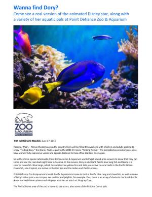Wanna Find Dory? Come See a Real Version of the Animated Disney Star, Along with a Variety of Her Aquatic Pals at Point Defiance Zoo & Aquarium