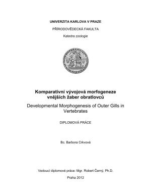 Komparativní Vývojová Morfogeneze Vnějších Žaber Obratlovců