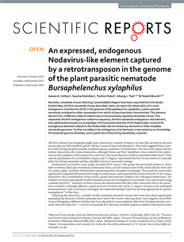 An Expressed, Endogenous Nodavirus-Like Element Captured by A