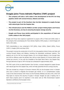 Enagás Joins Trans Adriatic Pipeline (TAP) Project