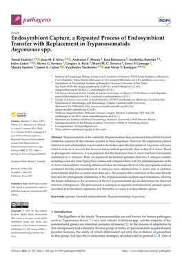 Endosymbiont Capture, a Repeated Process of Endosymbiont Transfer with Replacement in Trypanosomatids Angomonas Spp