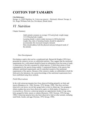 Cotton Top Tamarin Nutrition Chapter