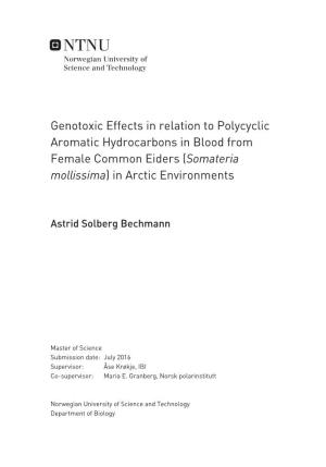 Genotoxic Effects in Relation to Polycyclic Aromatic Hydrocarbons in Blood from Female Common Eiders (Somateria Mollissima) in Arctic Environments