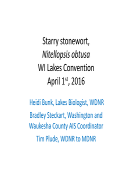 Starry Stonewort, Nitellopsis Obtusa WI Lakes Convention April 1St, 2016