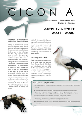 Activity Report 2001 - 2009