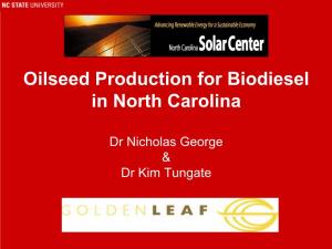 Oilseed Production for Biodiesel in North Carolina