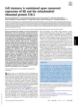Cell Stemness Is Maintained Upon Concurrent Expression of RB and the Mitochondrial Ribosomal Protein S18-2