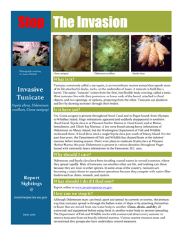 Tunicate Fact Sheet