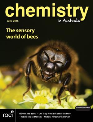 The Sensory World of Bees