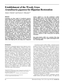 Establishment of the Woody Grass Arundinaria Gigantea for Riparian Restoration Adam J