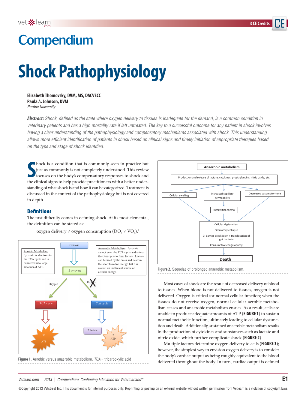 Shock Pathophysiology