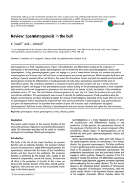 Spermatogenesis in the Bull