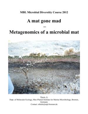 Metagenomics of a Microbial Mat