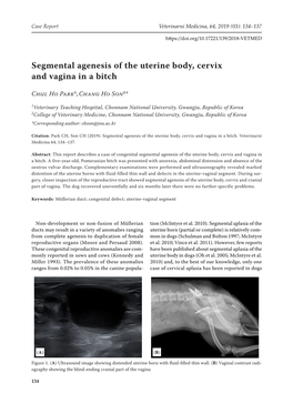 Segmental Agenesis of the Uterine Body, Cervix and Vagina in a Bitch