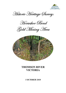 Historic Heritage Survey: Horseshoe Bend Gold Mining Area