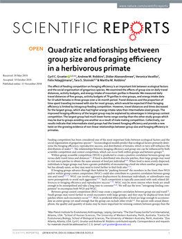 Quadratic Relationships Between Group Size and Foraging Efficiency in a Herbivorous Primate