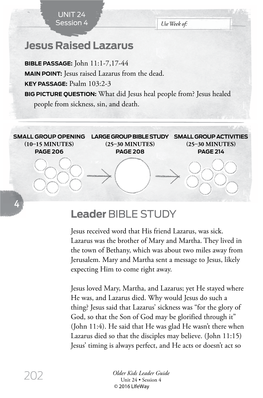 Leader BIBLE STUDY Jesus Raised Lazarus