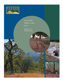 Sonoma Valley Wildlife Corridor Project: Management and Monitoring Strategy