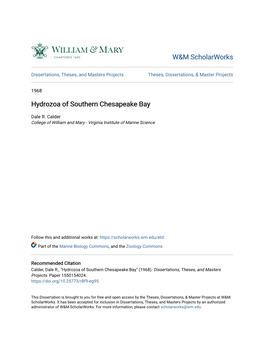 Hydrozoa of Southern Chesapeake Bay