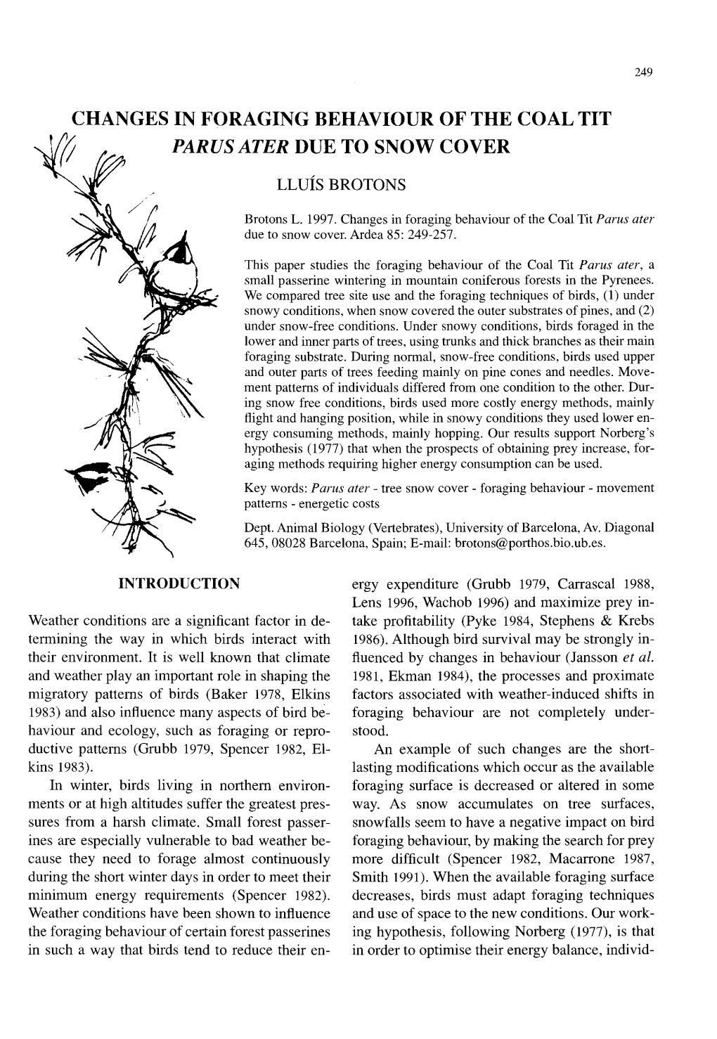 Changes in Foraging Behaviour of the Coal Tit (; Parus Ater Due to Snow Cover