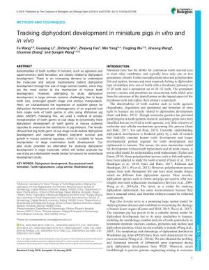 Tracking Diphyodont Development in Miniature Pigs in Vitro and in Vivo
