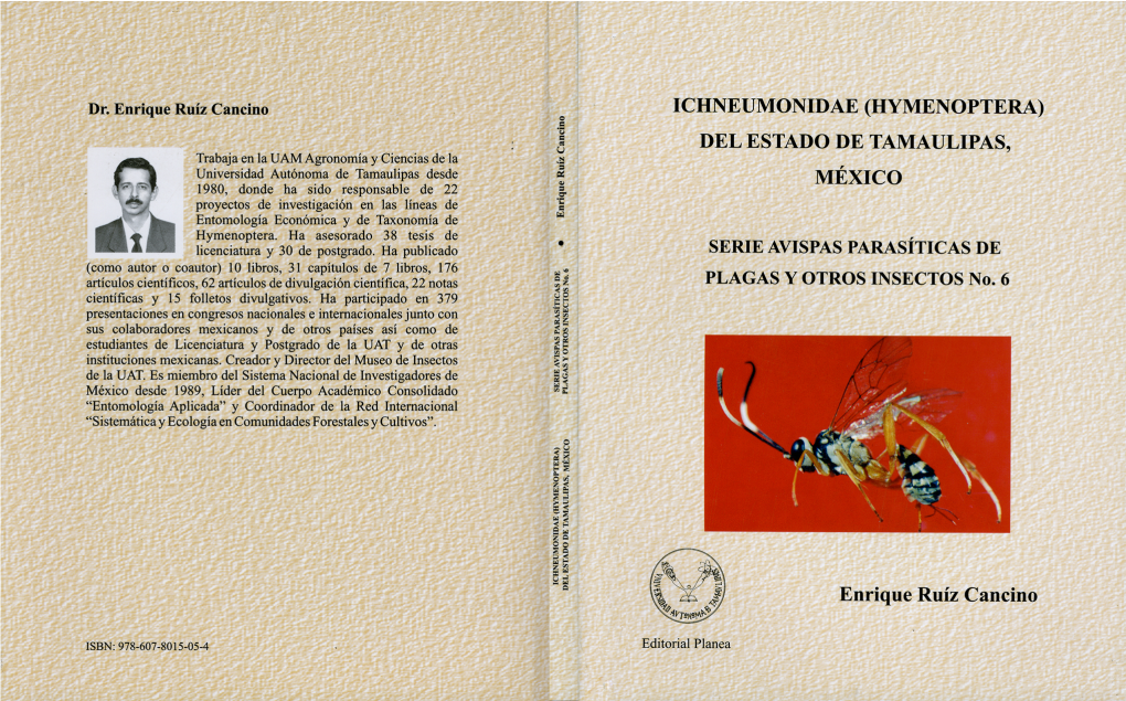 Del Estado De Tamaulipas, México Serie Avispas Parasíticas De Plagas