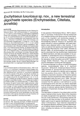 Enchytraeus Luxuriosus Sp. Nov., a New Terrestrial Oligochaete Species (Enchytraeidae, Clitellata, Annelida)